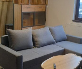 Casa P+M de inchiriat Clinceni Put Olteni - Fotografie 2