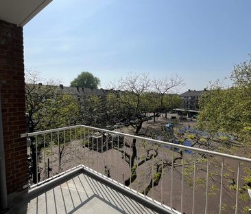 Peppelweg 65, Rotterdam - Appartement à Louer - Photo 6