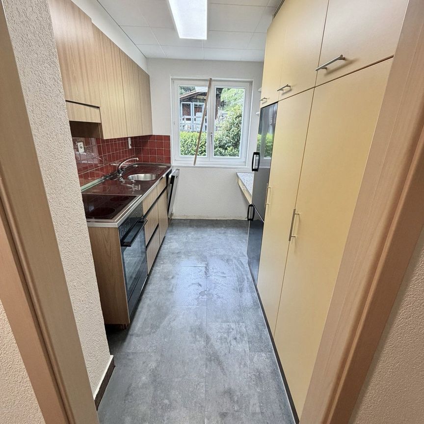 3 Zimmer, 65 m², EG - Foto 1