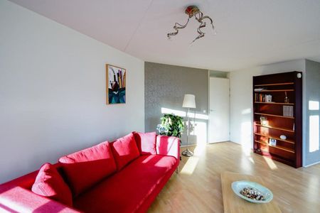Appartement te huur: Muzenplein 72 2511 GD Den Haag - Foto 2