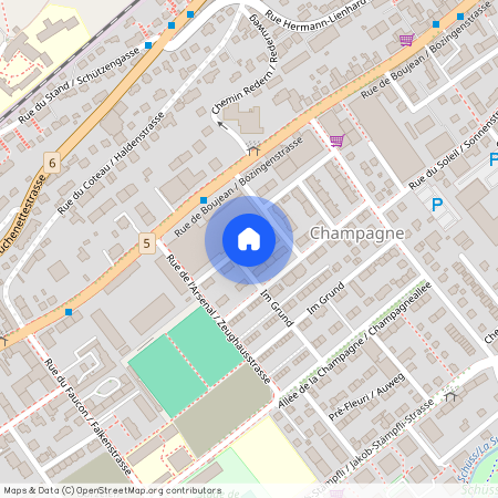 2502, Biel/Bienne, Rue Fontenal / Fontenalstrasse, 6