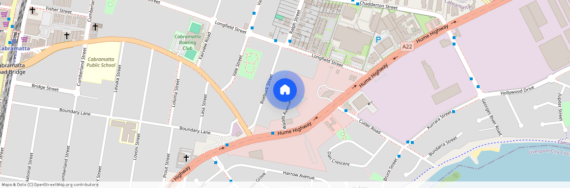 14 Wadds Avenue, NSW 2166, Cabramatta