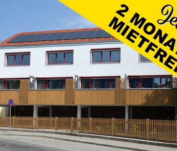 Wohnung in Allentsteig - Foto 6