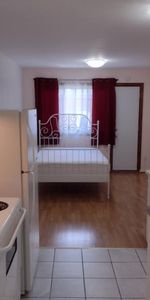 1 1/2 - Montréal (Le Plateau Mont-Royal) - 1 250 $/mois - Photo 3