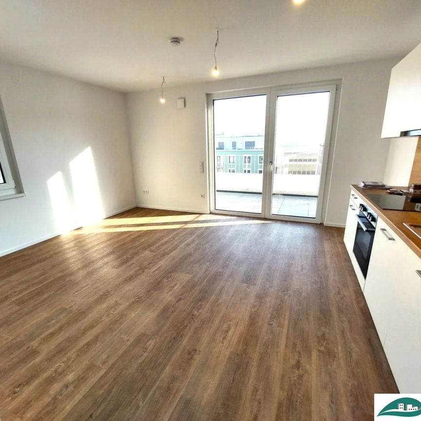 Morgensonne mit Ausblick - Ihr Wohn(t)raum im Tullnerfeld - tolle 2-Zimmer-Terrassenwohnung / Neubau / topmodern / Erstbezug - Tiefgarage optional verfügbar! - Foto 1