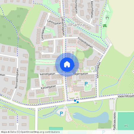 Lillhamragatan 6, 723 50, Västerås