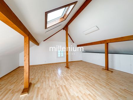 Family property of standing with Mont-Blanc view - Photo 5