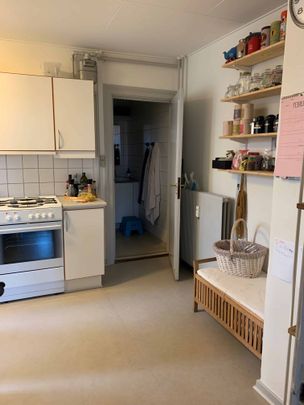 Stor og lys lejlighed - Photo 1