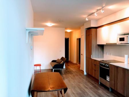 For Lease - 159 Wellesley Street Unit# 303, Toronto, Ontario - Photo 5