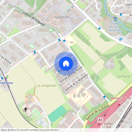 1110, Morges, Avenue Du Carroz