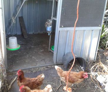 Concord West - Photo 5