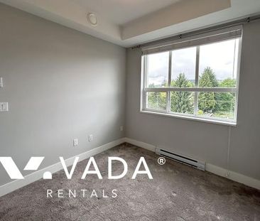 Unfurnished, 1 Bed 1 Bath Apartment For Rent - Photo 6