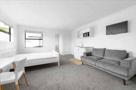 Recently renovated studio units just a short walk away from the Grey Street Shops and Cafes. - Photo 4