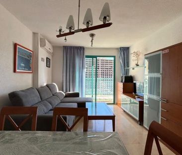 Apartamento de alquiler en Calle Terral, Cala Palmera - Atrium - Photo 3