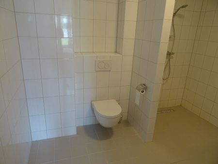 Appartement te huur: Ringdijk 50-C 8244 BB Lelystad - Foto 5
