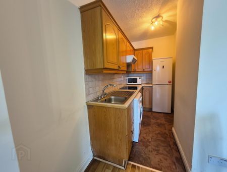 Apartment 41a Shannon Weir, County Westmeath, N37 W996, Athlone - Photo 4