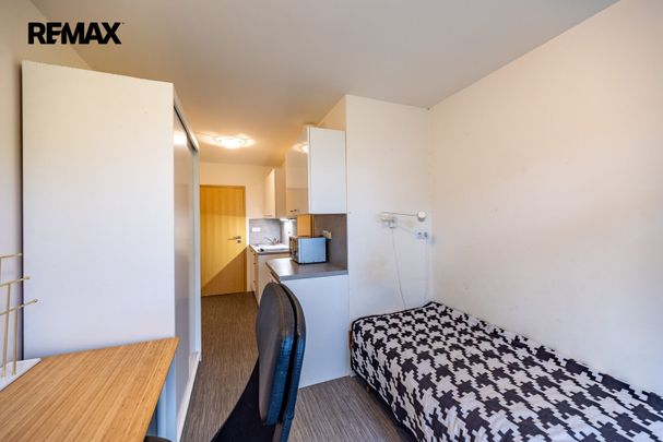 Pronájem bytu 1+kk v družstevním vlastnictví 18 m², Praha 8 - Kobylisy - Photo 1