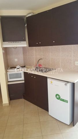 ΚΑΛΟΚΑΙΡΙΝΟΥ 2ΧΩΡΗ ΓΚΑΡΣΟΝΙΕΡΑ ΕΝΟΙΚΙΑΣΕΙΣ 20284 - Photo 5
