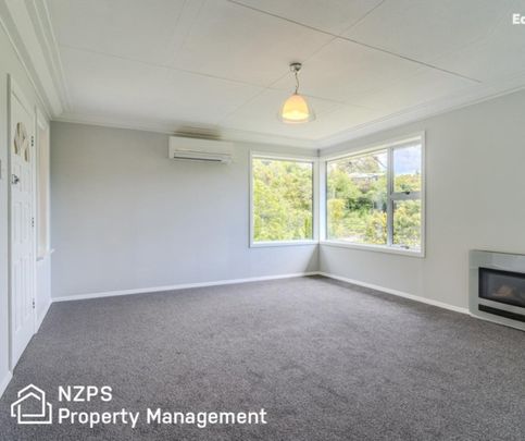 41 Montague Street, North East Valley - Photo 1