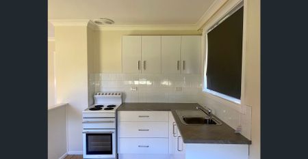 SOUTH TAMWORTH - Tidy One Bedroom Unit - Photo 4