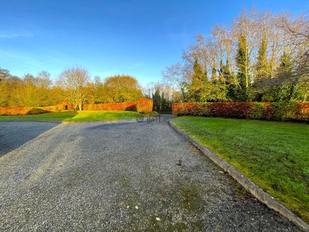 House to rent in Kildare, Kilcullen, Knockbounce - Photo 3