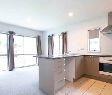 Tuakau Bargain Beauty - Ready Now! - Photo 5