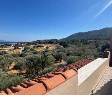 Studio/Γκαρσονιέρα για ενοικίαση Αγία Παρασκευή (Λέσβος - Μυτιλήνη) - Φωτογραφία 1