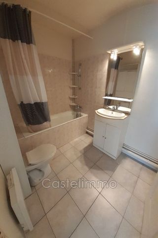 Location Appartement 1 pièce 35m² ST NICOLAS DE LA GRAVE 82210 - Photo 4