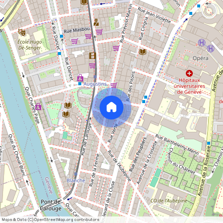 1205, Genève, Place Des Augustins, 17