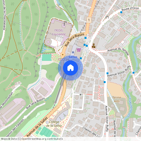 Avenue de la Sallaz 39, CH-1010, Lausanne