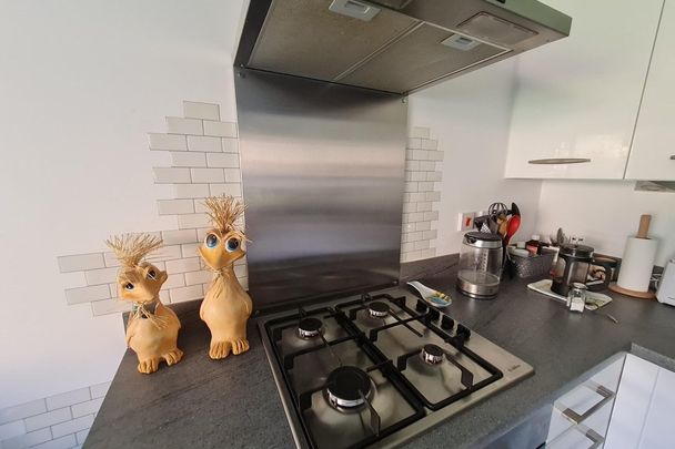 Farrier Close - Photo 1