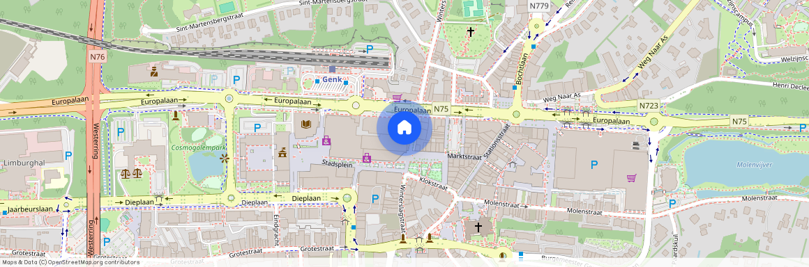 Winterslagstraat 43 / 41, 3600 Genk