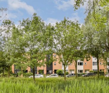 Louis Couperussingel 13 - Photo 3