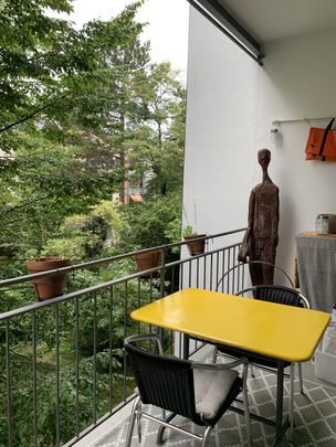 APPARTEMENT 2 PIÈCES À BÂLE - ISELIN, MEUBLÉ, TEMPORAIRE - Foto 1