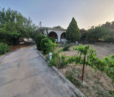 Μονοκατοικία για ενοικίαση Κέντρο (Κορωπί) - Photo 4