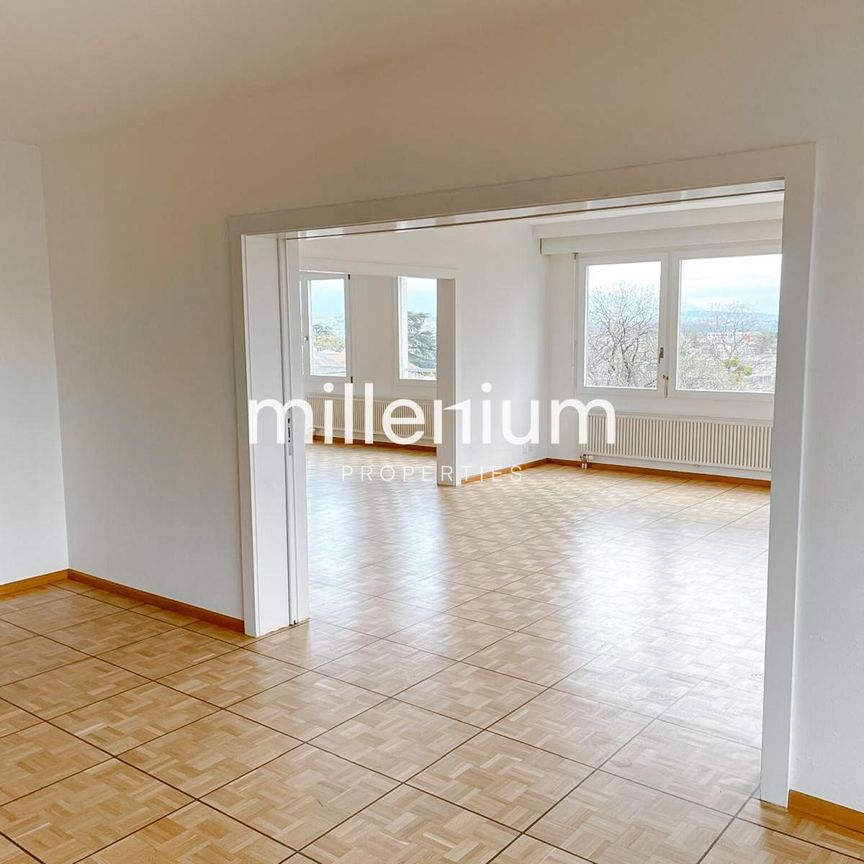 Grand appartement avec vue dégagé sur jardin et jet d’eau au Grand Sac - Photo 1