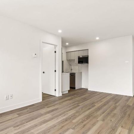 1 CH - 1 SDB - Montréal - $1,350 /mo - Photo 3