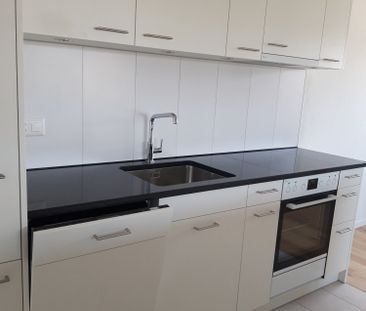 Neu renovierte 3,5-Zimmerwohnung an zentraler Lage mit wunderschöne... - Foto 2