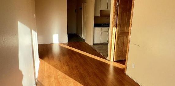 1 CH - 1 SDB - Montréal - $1,250 /mo - Photo 2