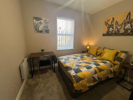 University Street, Room 7, All Bills Included, Belfast, BT7 1FZ - Photo 5
