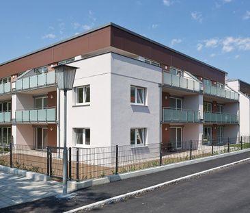 SCHEIBBS XX/2 - Foto 4