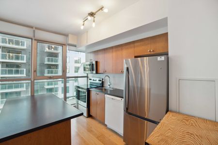 179 George St Unit 904 - Photo 5