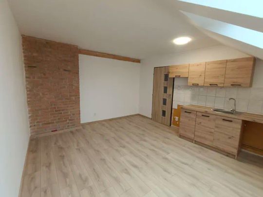 Pronájem 1+KK, podkrovní byt 23 m - Photo 1