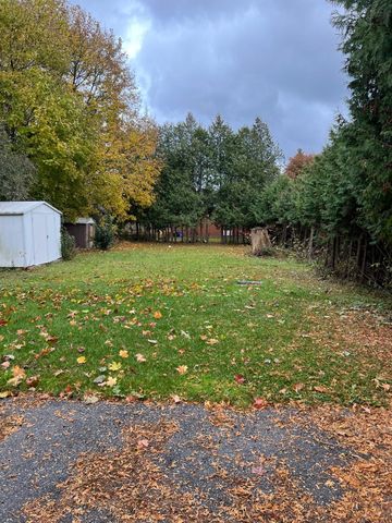 For Lease - 43 Maple Grove Avenue Unit# Basement, Richmond Hill, Ontario - Photo 3