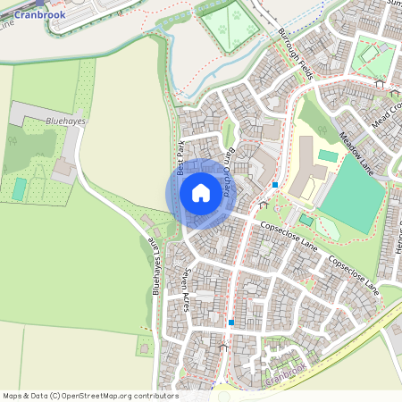 Wheat Field Lane, Cranbrook, Exeter, EX5