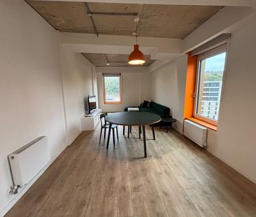 Room in a Shared Flat, The Furlong, BN2 - Photo 5