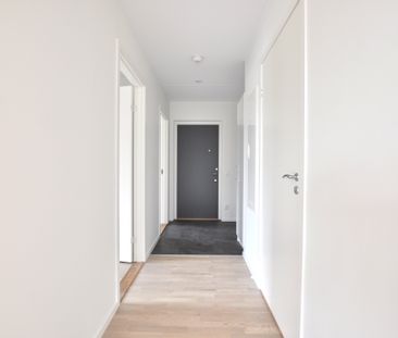 Vikaholmsallen, Växjö - Photo 1