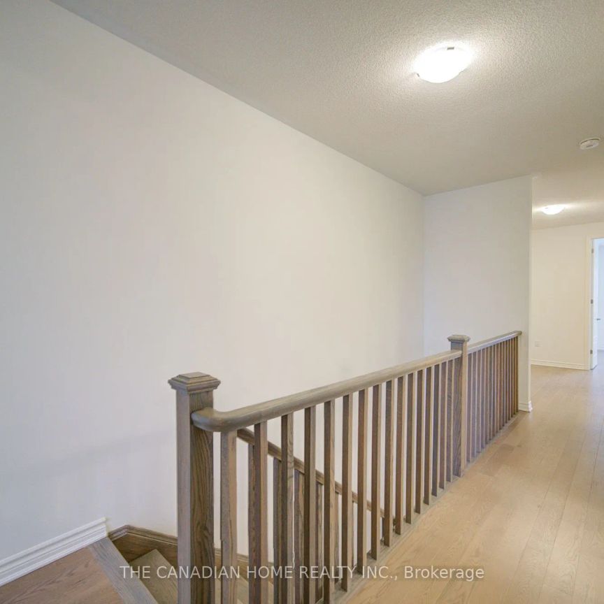 3386 Salt Springs Drive - Photo 1