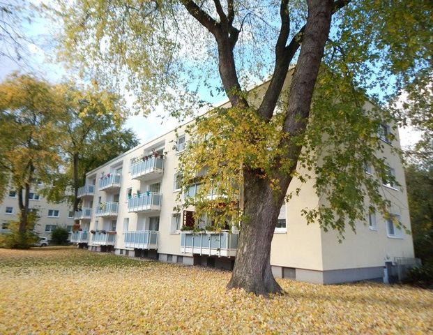 Knauerweg 10, 44269 Dortmund OT Schüren - Foto 1