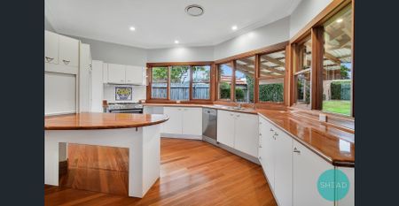 PEACEFUL HOME WITH EXPANSIVE BACKYARD, MINUTES FROM SHOPS - Photo 3